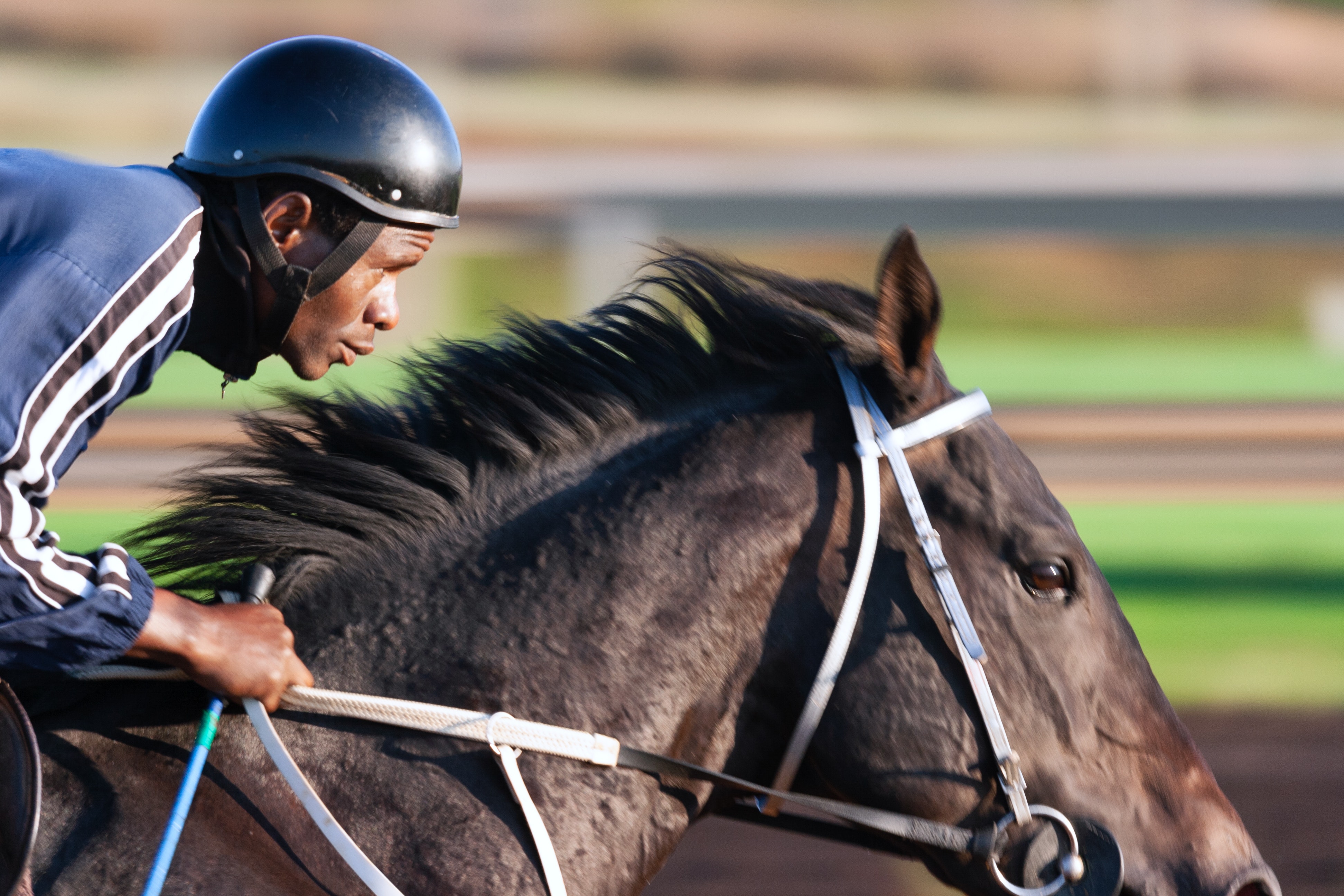 Paardenrace